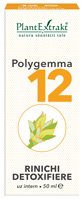 polygemma nr12
