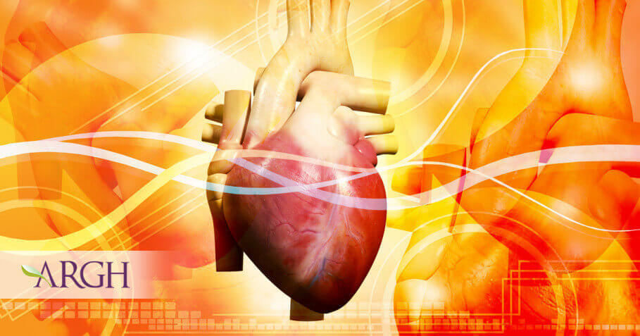 Aparatul cardio-circulator, punctul "central" al verii