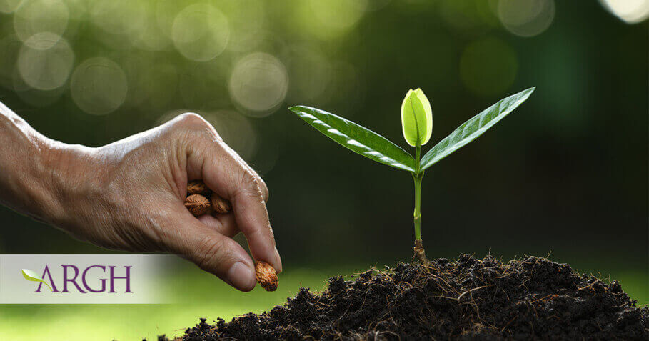Gemoterapie cu semințe de plante