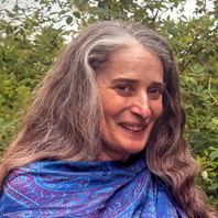dr. Robin DiPasquale