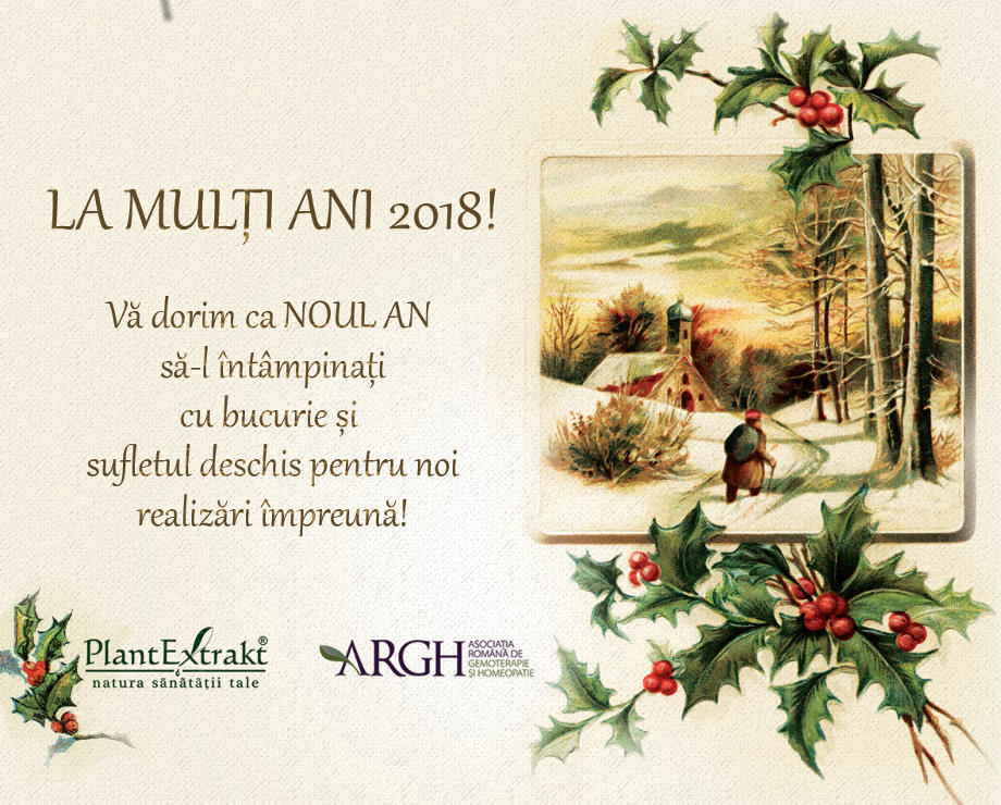 Bilant la inceputul anului 2018
