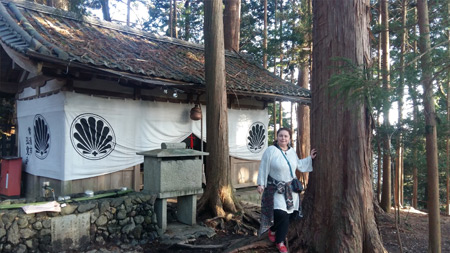 Gemoderivatul de camfor si experienta japoneza