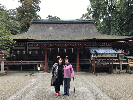 Gemoderivatul de camfor si experienta japoneza