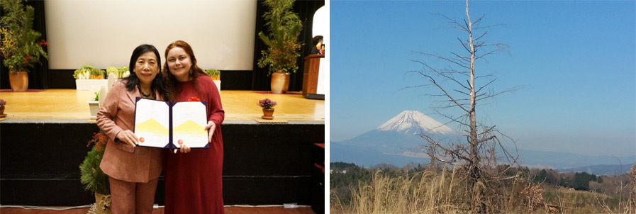 Gemoderivatul de camfor si experienta japoneza