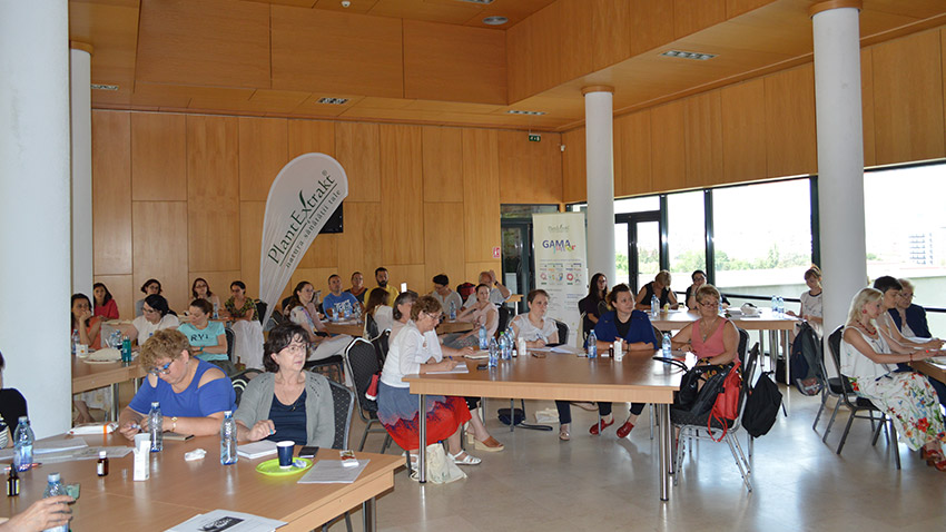 activitati argh 2019