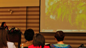 Conferinta 2011