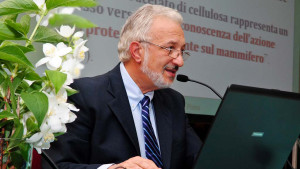 Conferinta 2012