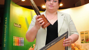 Conferinta 2012
