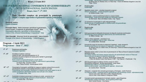Conferinta 2013