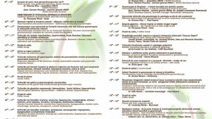 Conferinta 2015