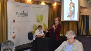 Conferinta 2018