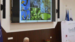 Conferinta 2019
