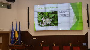 Conferinta 2019