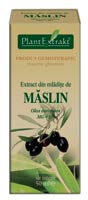 Extract din mladite de maslin