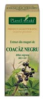 Extract din muguri de coacaz negru Extract din muguri de coacaz negru