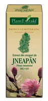extract de muguri de jneapan