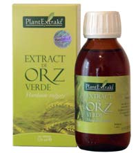 Extract de orz verde