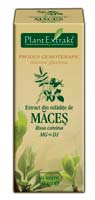 extract din mladite de maces