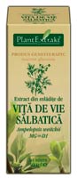 extract din mladite de vita de vie salbatica