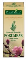 Extract din muguri de porumbar