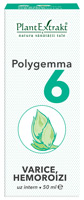 polygemma nr6