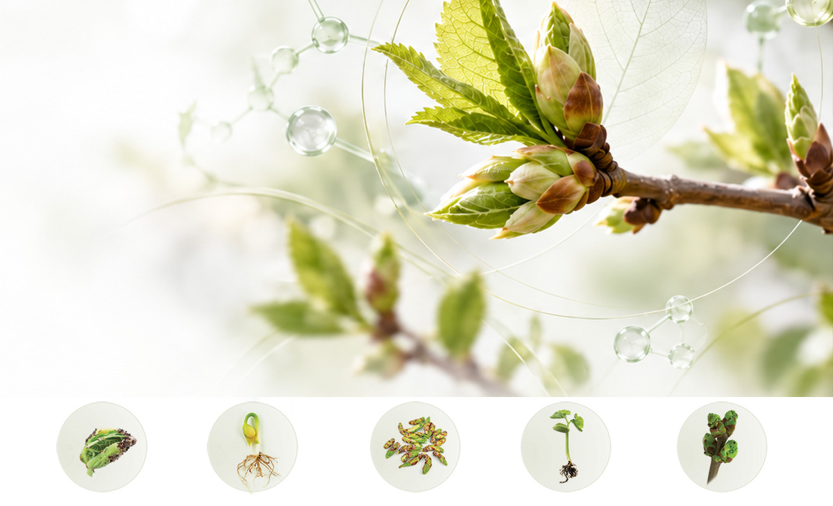 Webinar Gemoterapie
