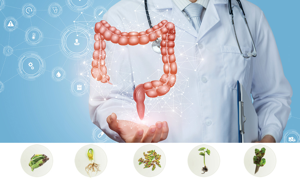 Webinar Gemoterapie - Depresia din tubul digestiv